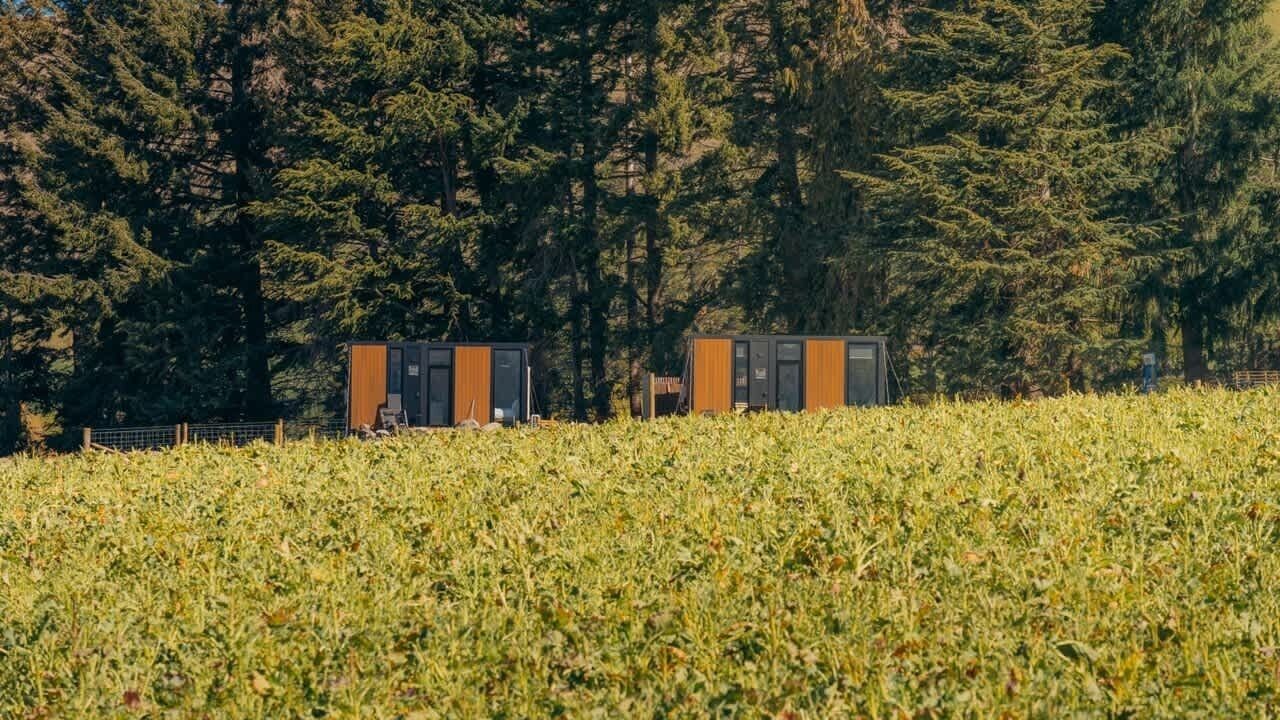 Zwei kleine Blockhäuser in einem Feld mit dichtem Wald im Hintergrund.