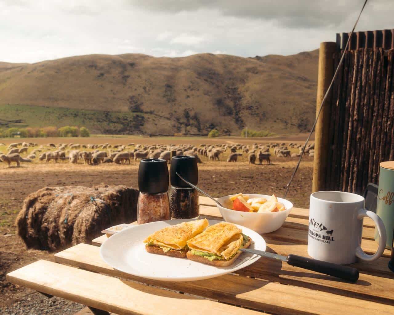 Un montaje para picnic con un sándwich, un bol, una taza de café y saleros y pimenteros sobre una mesa de madera, con una vista de un rebaño de ovejas al fondo.