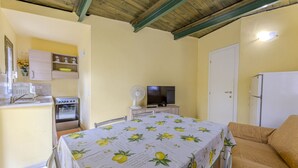 Una habitación compacta con kitchenette, una cama con colcha estampada, televisor y refrigerador.