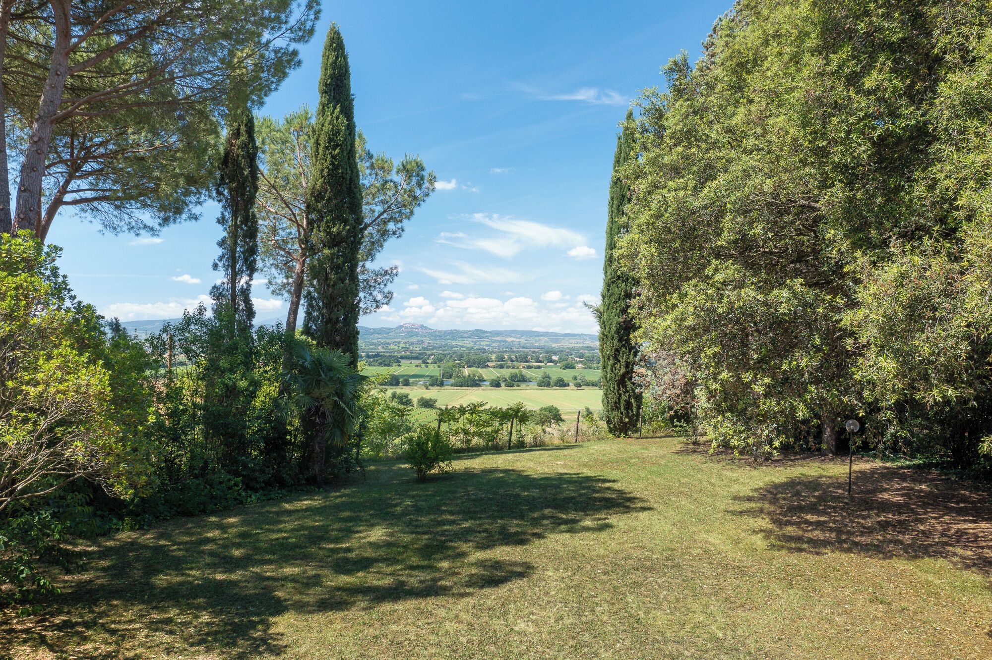 A grassy pathway leading through a wooded area with tall trees and a distant view of a hilly landscape.