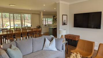Smart TV, fireplace, books