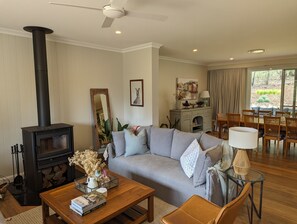 Smart TV, chimenea y libros 