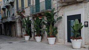 Exterior detail - Locus Pendinelli Trani 53-The philosophy of a b&b, the details of a Hotel!!! (Trani)