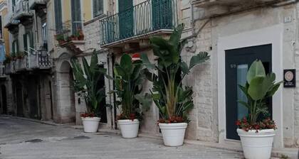 Locus Pendinelli Trani 53-The philosophy of a b&b, the details of a Hotel!!!