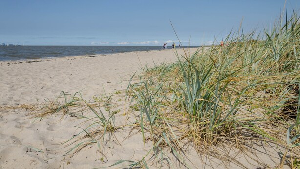 A sandy beach with sparse vegetation and a clear sky. - Apartment 'Djuren' with Private Terrace, Shared Garden, and Wi-Fi (Niedersachsen - Emden)