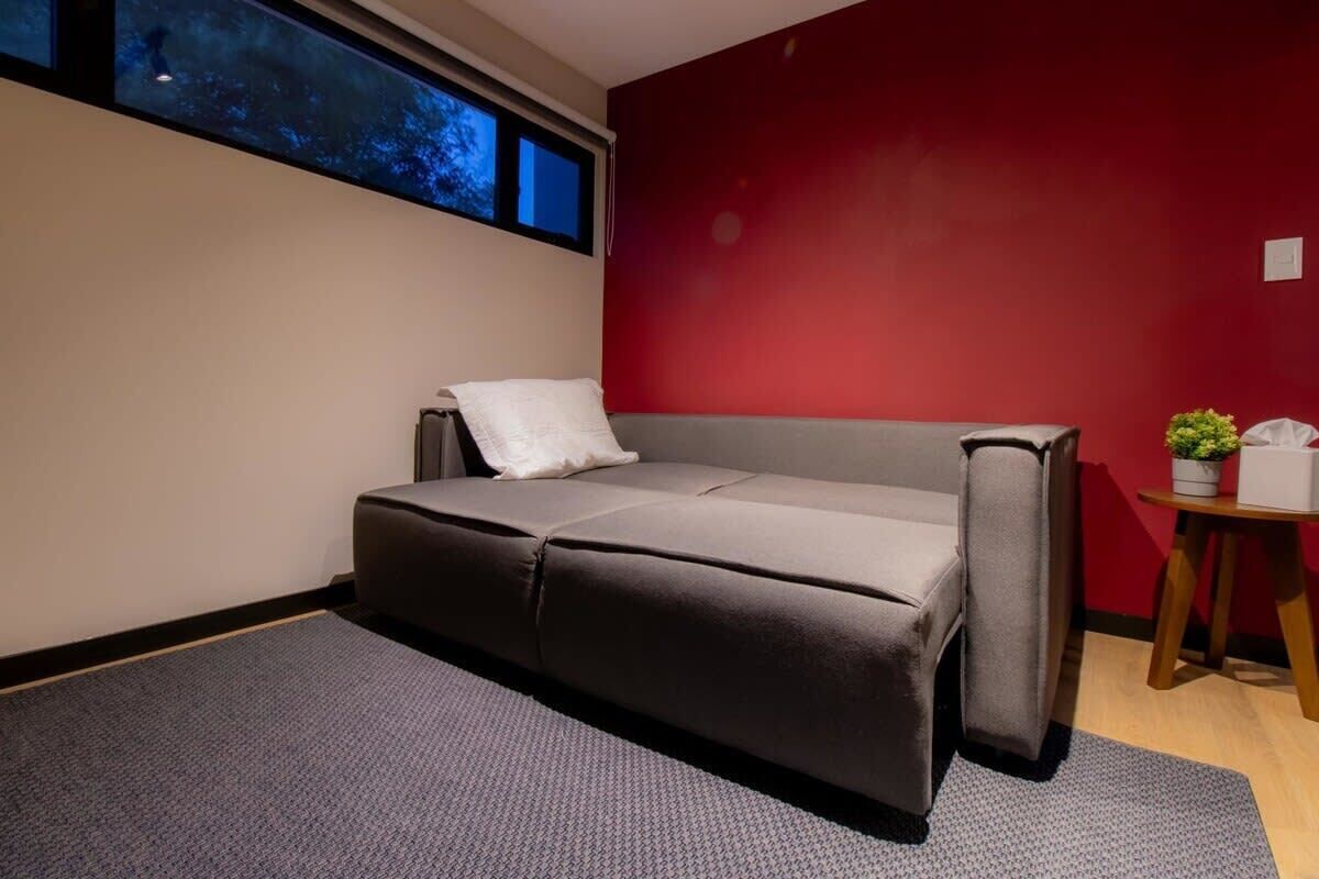 Ein modernes Zimmer mit einer grauen Schlafcouch, einem kleinen Tisch mit Pflanze und einer roten Akzentwand.
