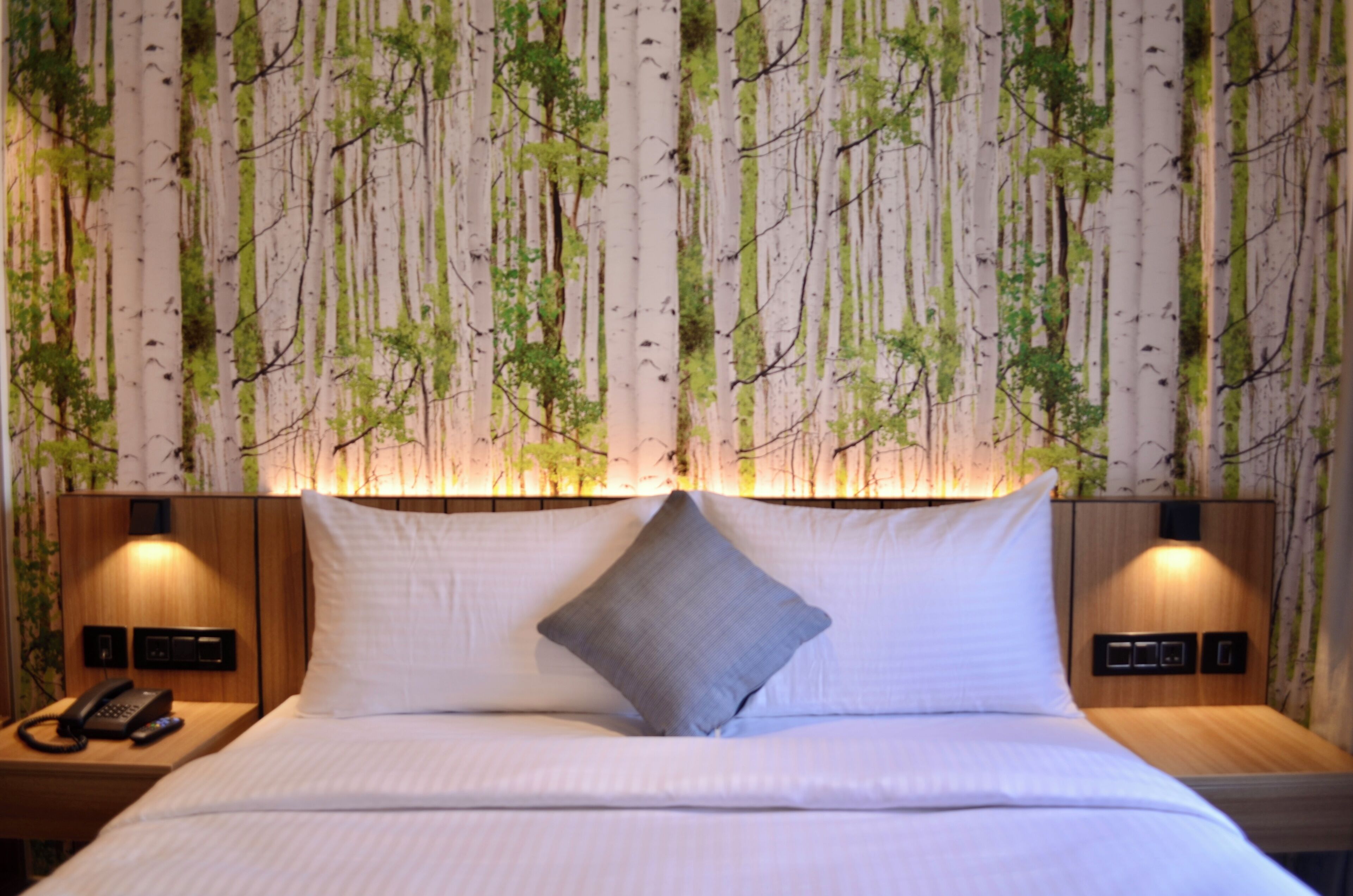 Habitación Deluxe | Espacio para trabajar con laptop y insonorización 