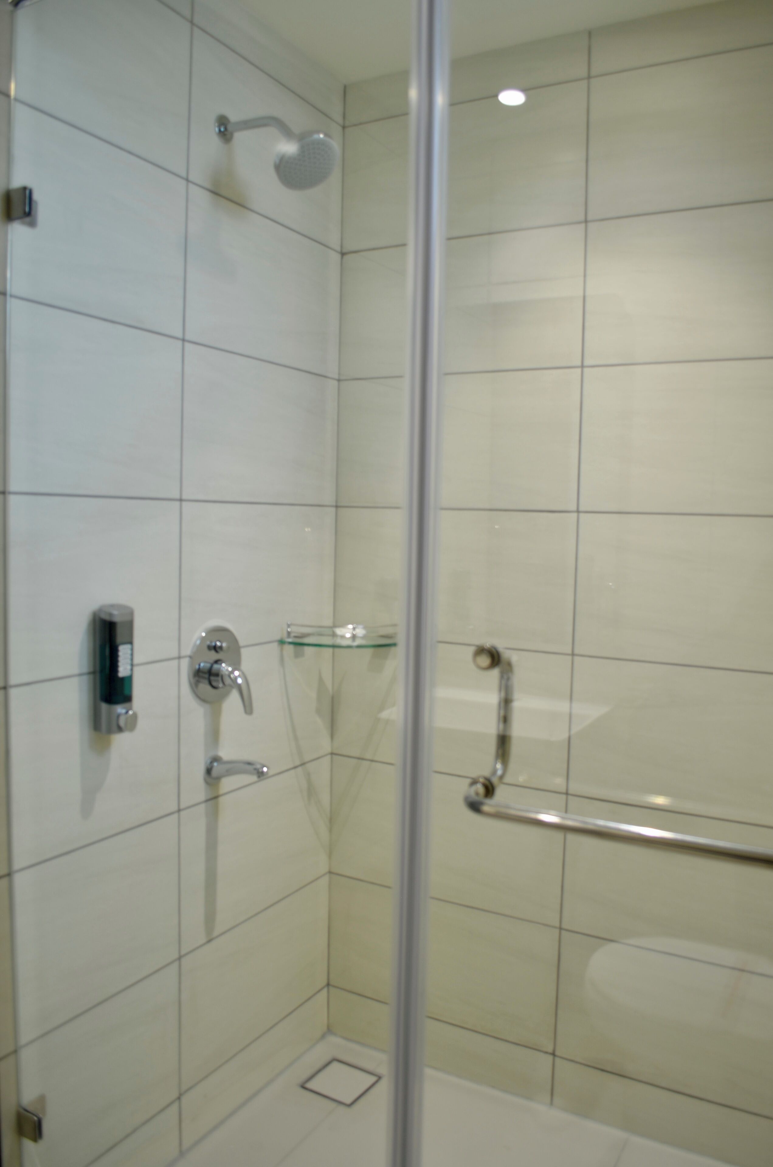 A modern shower with a glass door, a handheld showerhead, and a handheld faucet.