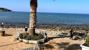 Eine Palme in einem steinigem Garten mit Blick auf das Meer.