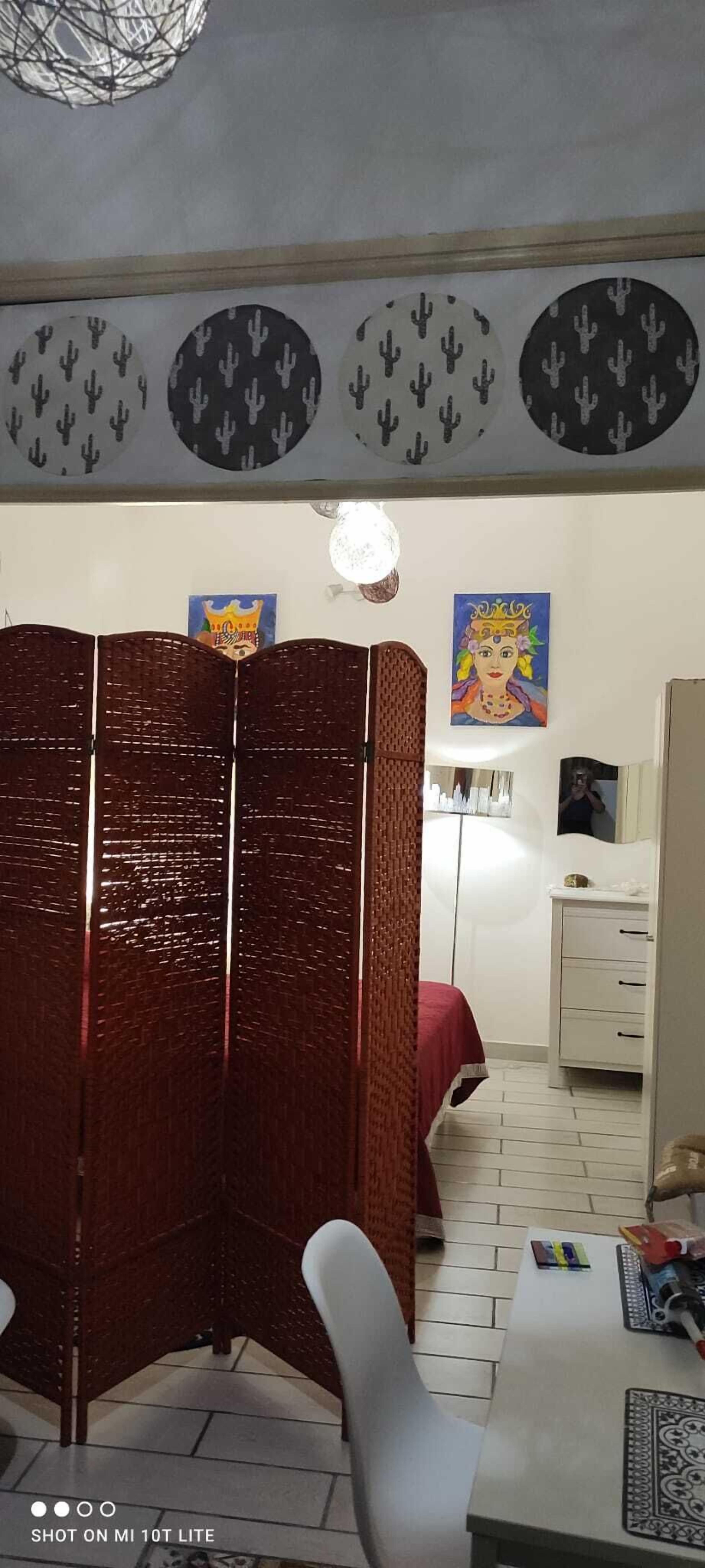 A room with a partition, a bed, a desk with a computer, and a wall with cactus patterns.