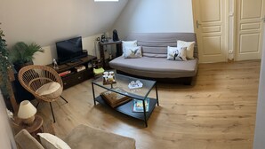 A cozy living room with a sofa, a television, a coffee table, and a bookshelf. - A guest room for rent (possibility of renting 2 rooms) (Vienne en val)