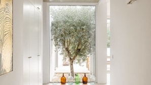 A hallway with a large window, a tree, and a series of bottles on the floor. - Eco-Luxe Villa Laranjeiras Comporta - Pool & Golf (comporta)