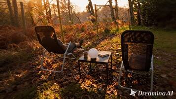 Terrein van de accommodatie