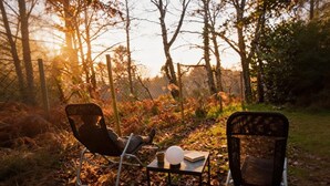 Zwei Metallstühle mit einem Tisch dazwischen, ein Buch und eine Tasse, draußen gelegen mit einem Zaun und Bäumen im Hintergrund.