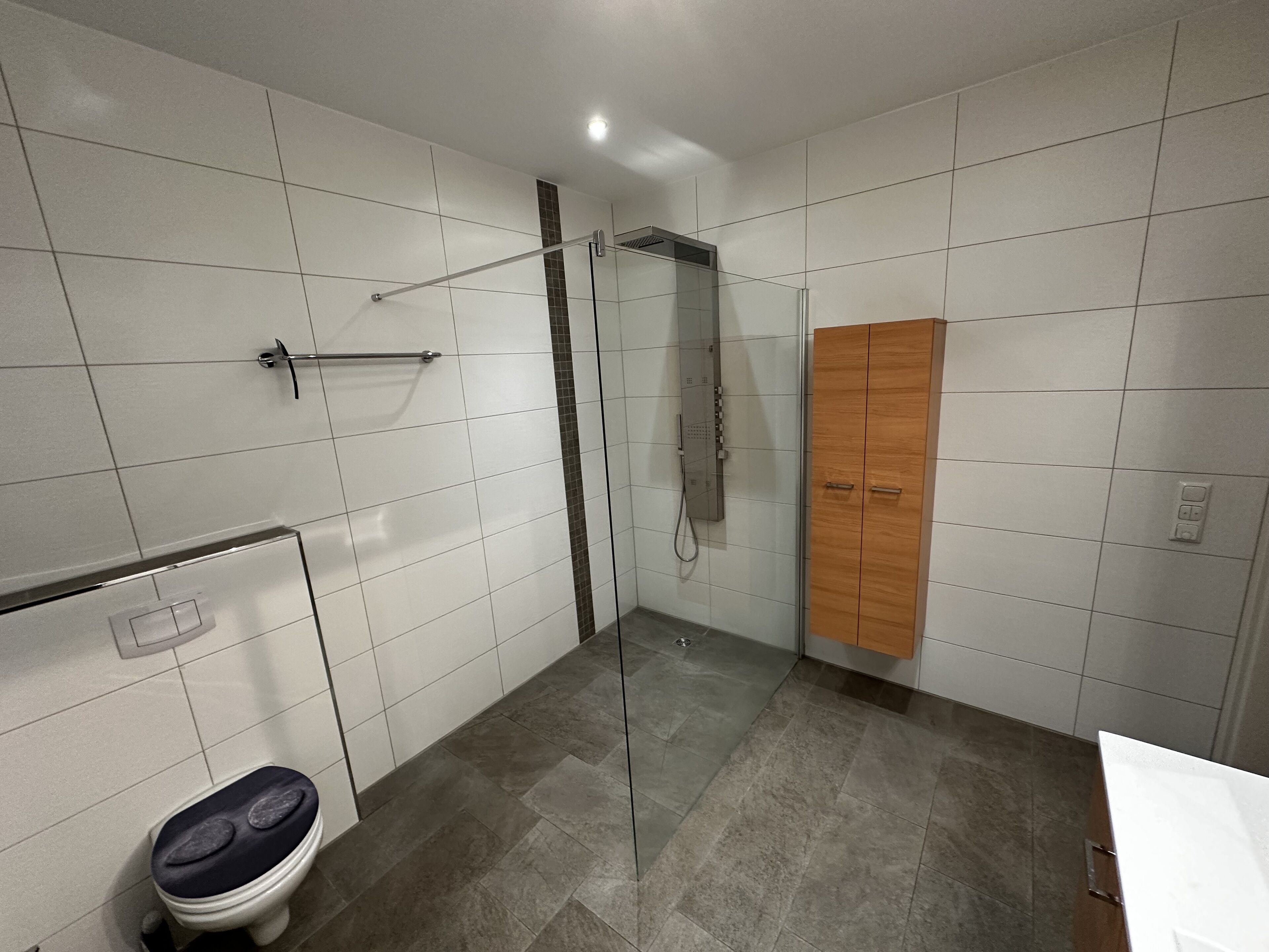 Ein Badezimmer mit weißen Fliesen, einer Holztür, einer Duschkabine aus Glas und einem WC mit schwarzem Sitz.