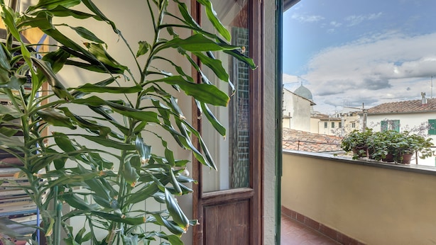 A balcony with a potted plant, a window with a view of buildings, and a tiled floor. - Central Panoramic Terrace (Florence)
