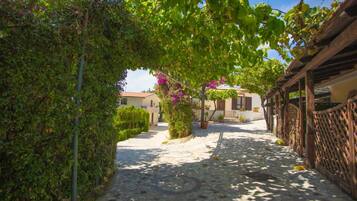 Loft, patio, vue piscine | Vue de la chambre
