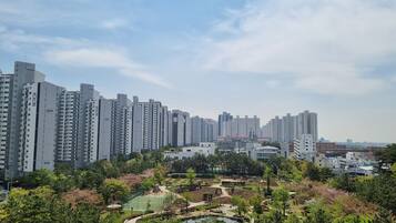 Vista desde la habitación