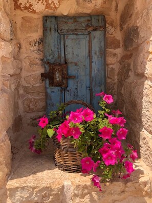 A rustic stone wall with a weathered blue door and a wicker basket filled with vibrant pink flowers. - Augusta Trulli Resort (Polignano a Mare)