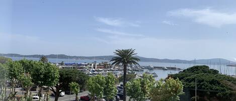 Vista da propriedade