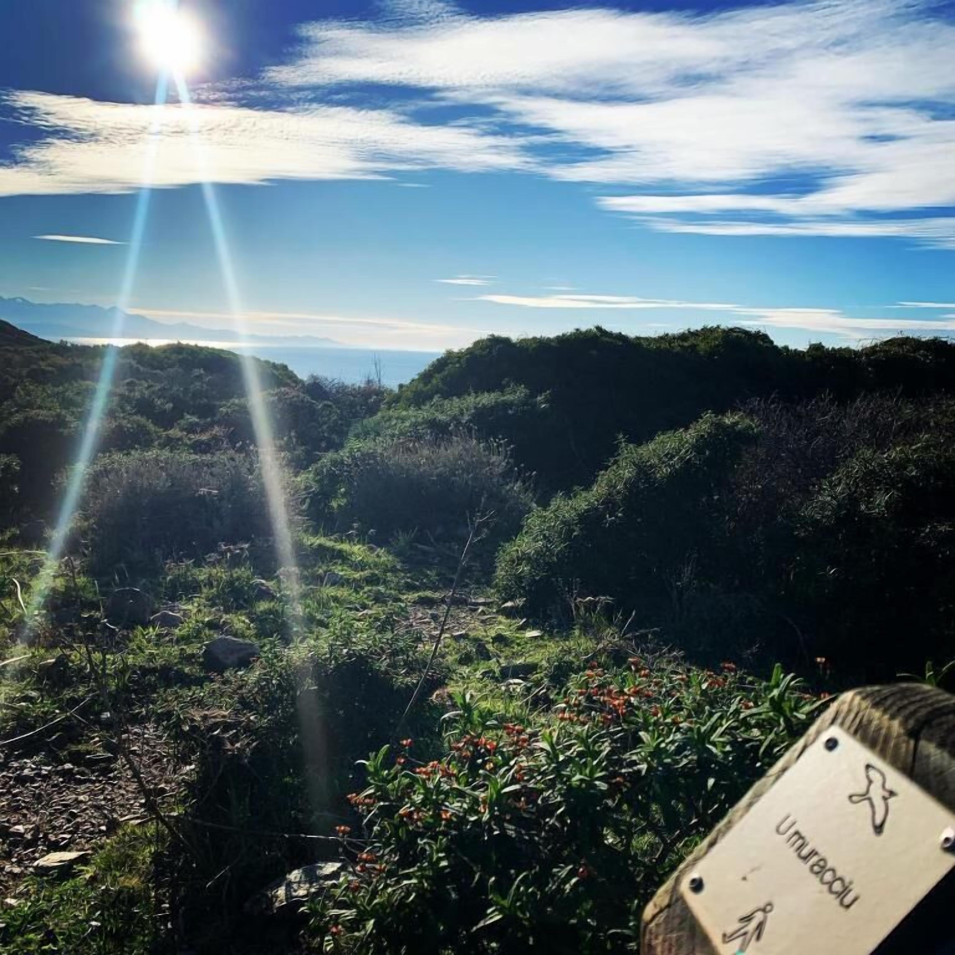 Eine natürliche Landschaft mit blauem Himmel, Sonnenschein und einem Schild mit der Aufschrift 'Umuraclu'.