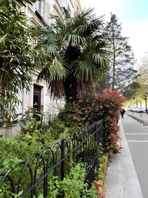 Stroll through a tranquil urban oasis lined with lush greenery and a variety of plants.