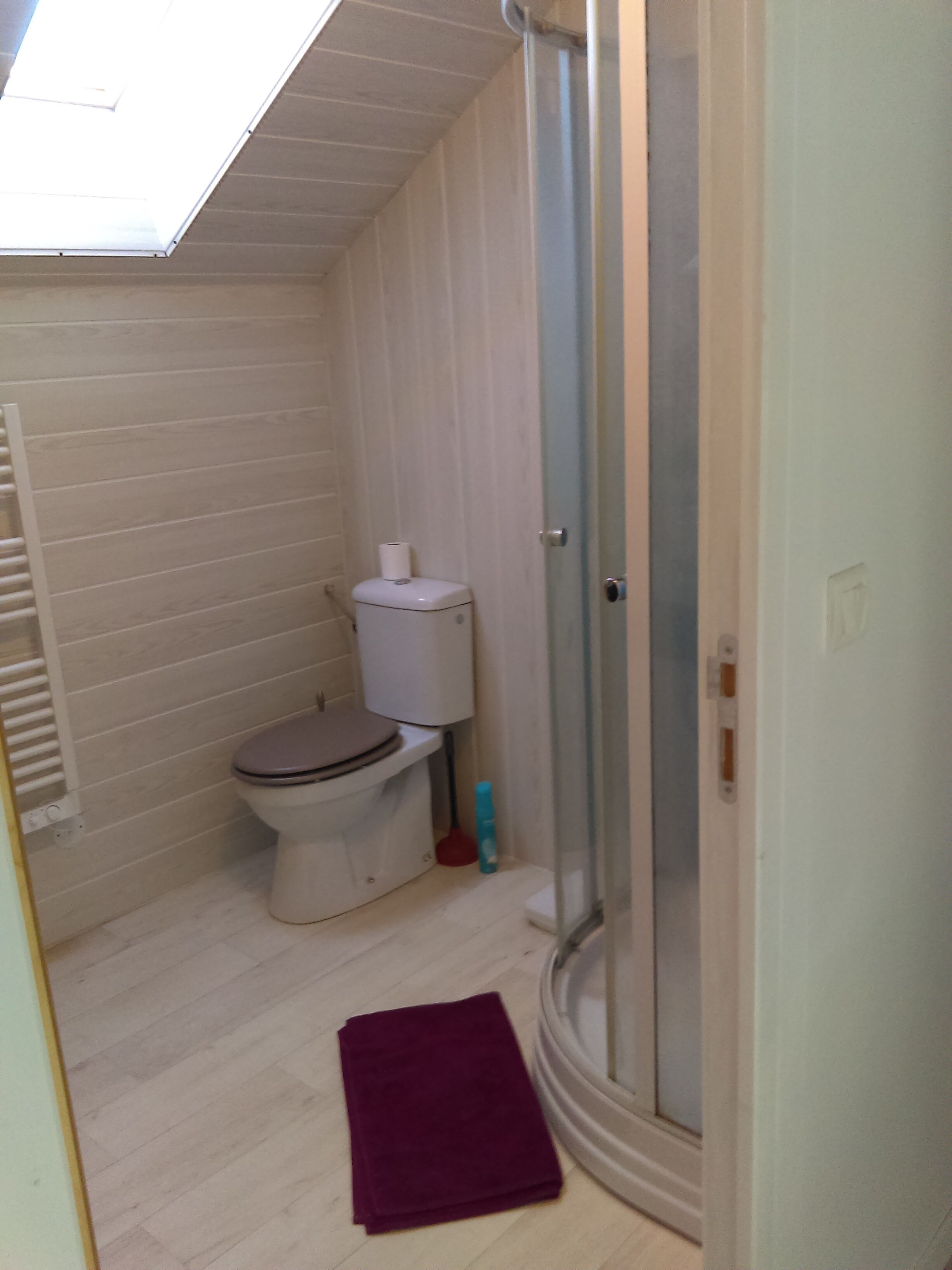 Shower, hair dryer, toilet paper
