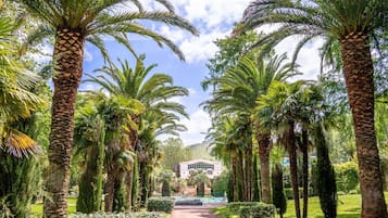 Terrein van de accommodatie