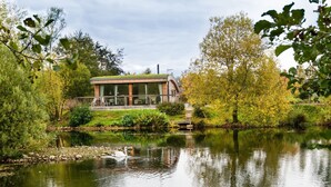 Una casa moderna con fachada de vidrio, terraza de madera y un estanque con un cisne.