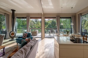 Smart TV, chimenea y estéreo 