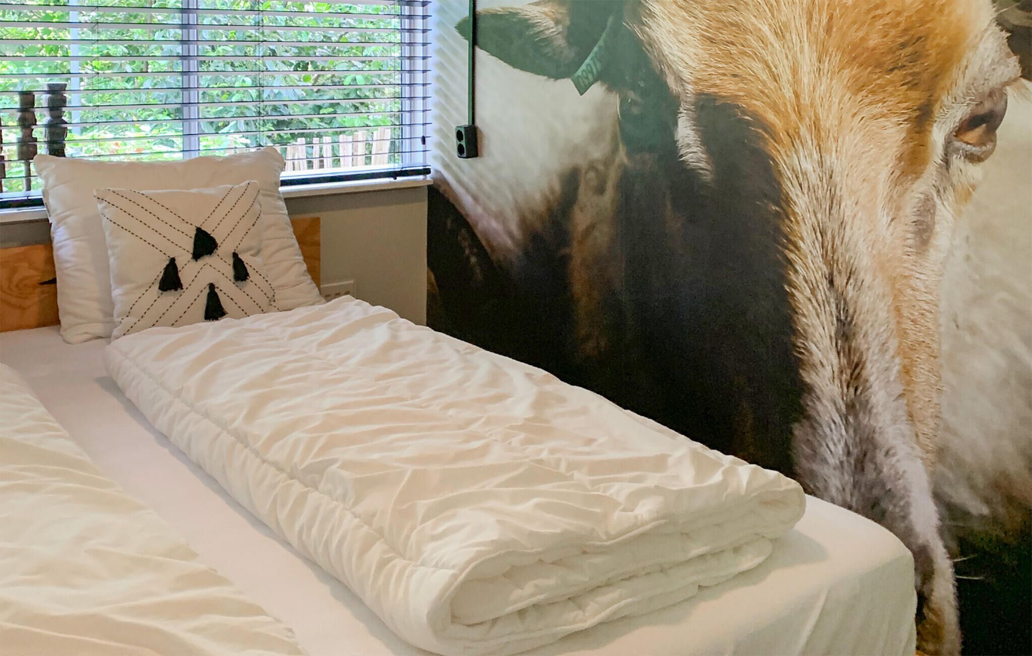 Ein Bett mit weißer Decke und Kissen, ein Fenster mit Jalousien und ein großes Wandbild einer Kuh.