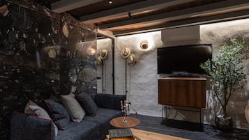 A modern living room with a dark-colored sofa, a wooden coffee table, a bookshelf, a television, and a potted plant.