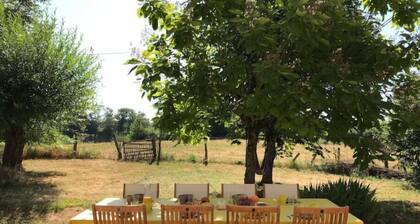 Grange Reformée en Pleine Nature