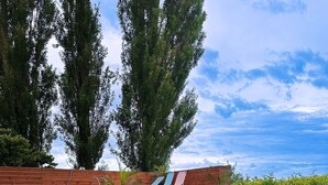 Eine Holzterrasse mit Stufen zu einem Sitzbereich mit Liegestühlen.
