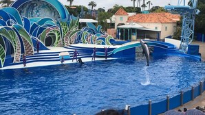 A dolphin show at a water park with a large pool, a dolphin jumping out of the water, and a colorful stage with performers. - Sweet Escape | Family Retreat | Vibrant  | Spa (San Diego)