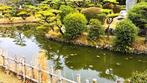 A serene garden with a pond, variously shaped trees, and a stone monument. - Himerakuen (Matsuyama)