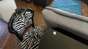 A room with a bed, a desk, a chair, a sofa, and a balcony with a view of trees. - The Treehouse (Amanzimtoti)