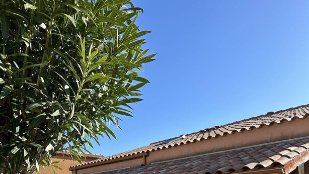 Un bâtiment doté d’un toit en tuiles et d’un jardin planté de verdure.