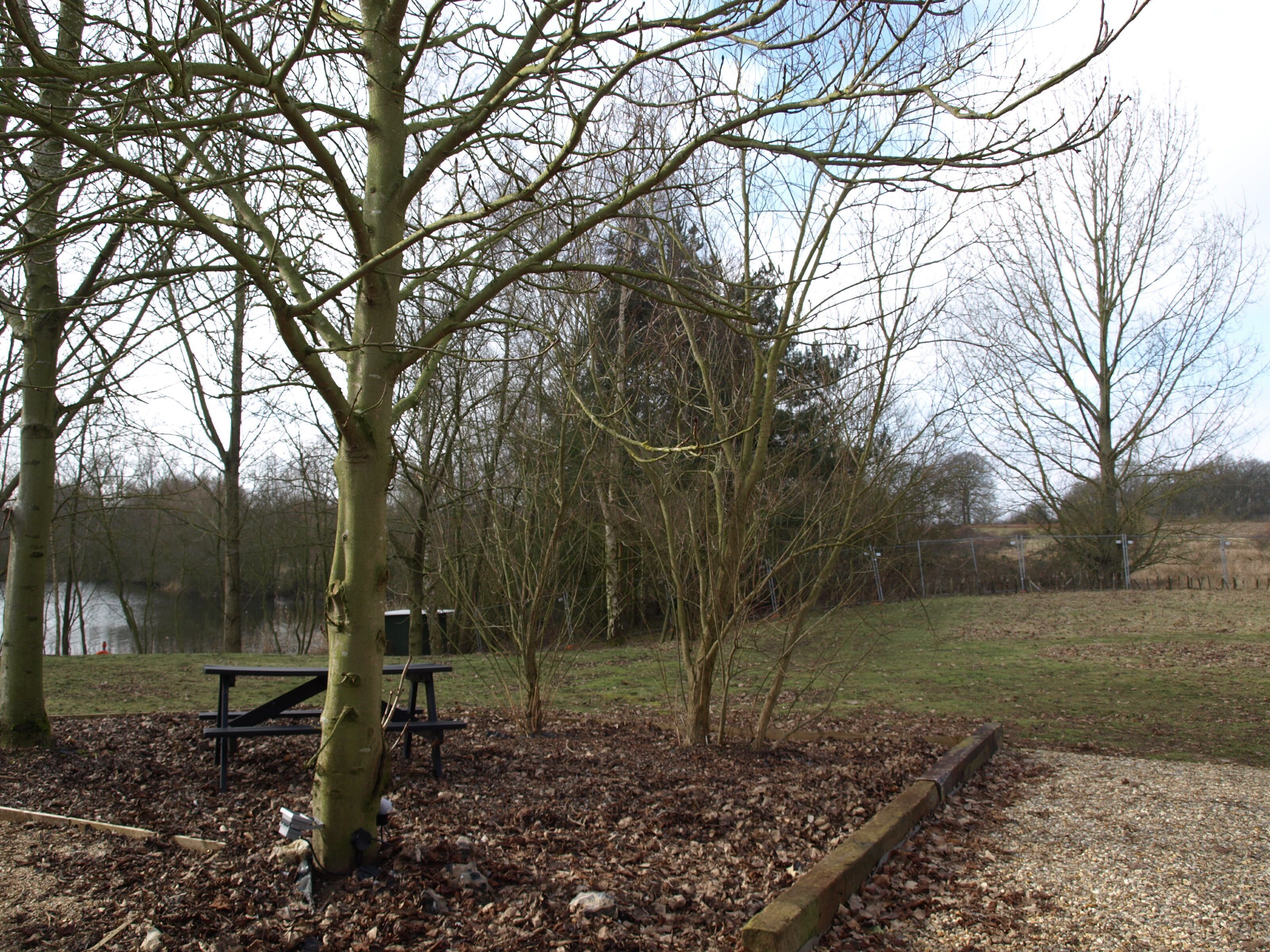 A park with leaf-covered ground, a picnic table, and a bench.