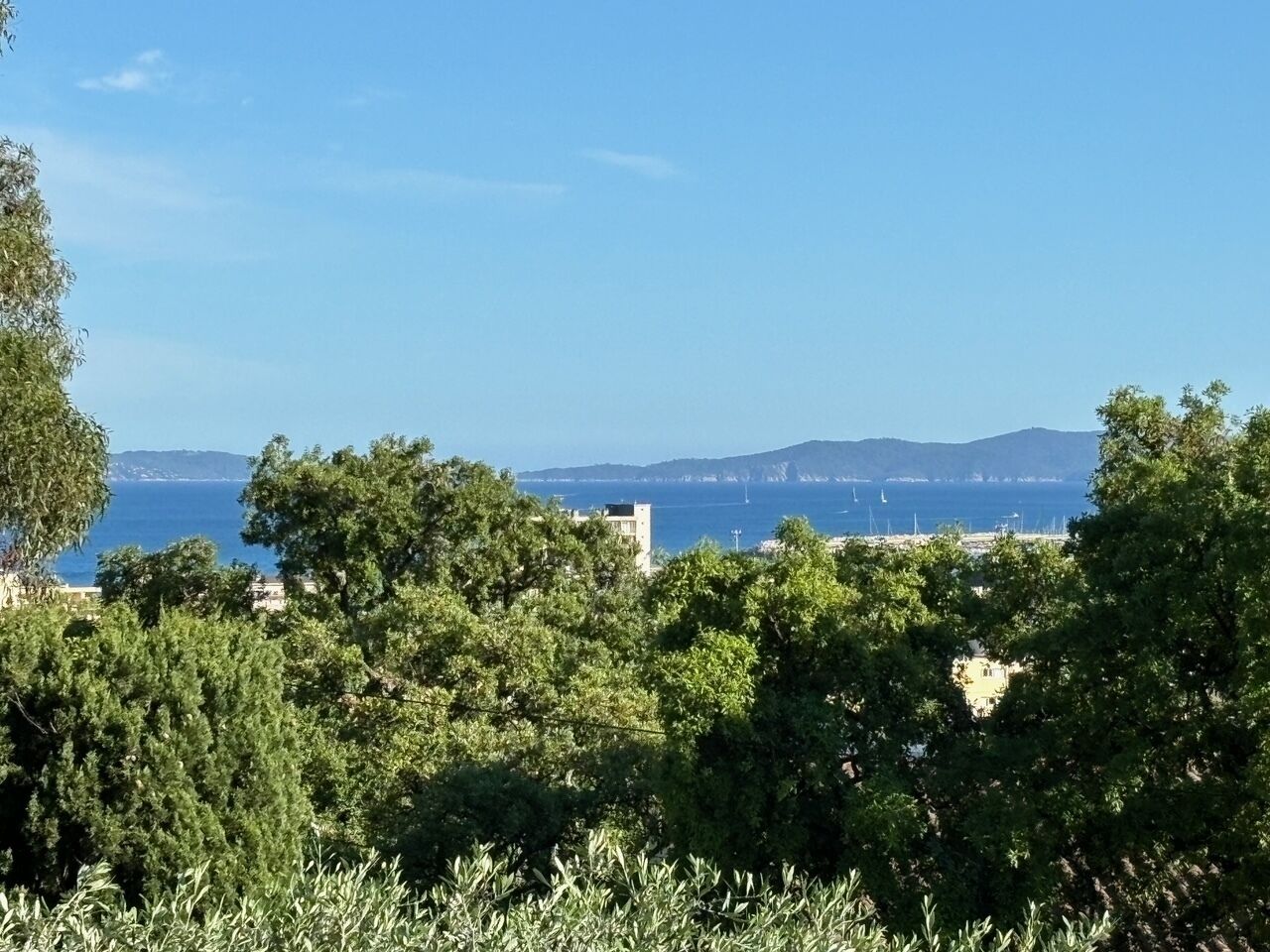 Un paysage côtier avec une végétation luxuriante au premier plan et une vue dégagée sur la mer et les collines lointaines.