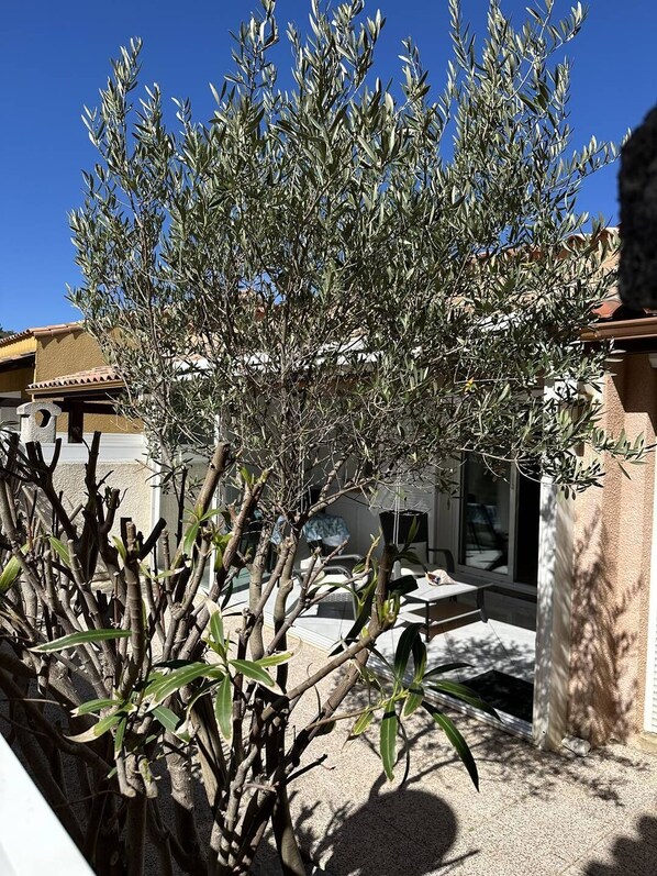 Property grounds - HOLIDAYLAND VILLA T2 438 MEZZANINE sleeps 5 air-conditioned with veranda NARBONNE PLAGE (NARBONNE PLAGE)