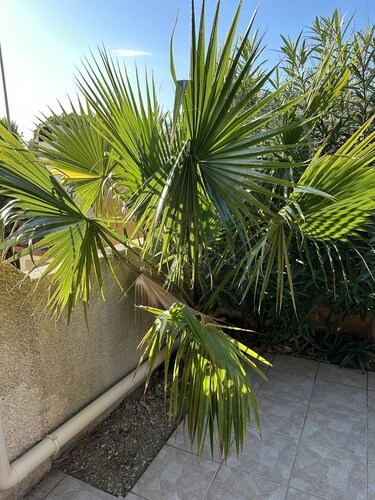 VILLA T2 KLIMA MEZZANINE 8 Betten klimatisiert NARBONNE PLAGE