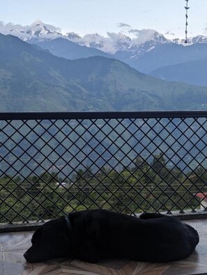 Blick vom Balkon