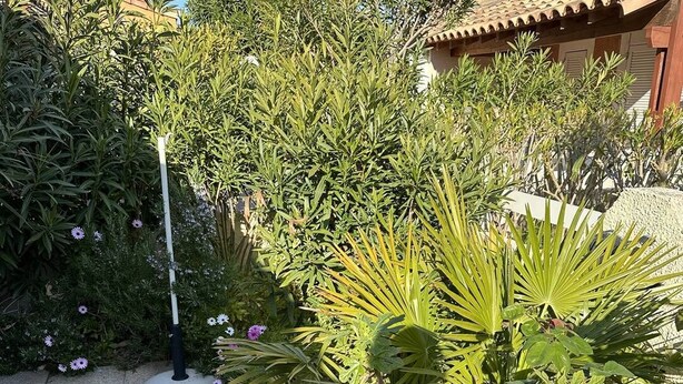 Un jardin agrémenté de diverses plantes et fleurs, un chemin bordé de dalles et, au fond, un bâtiment dont le toit est recouvert de tuiles.
