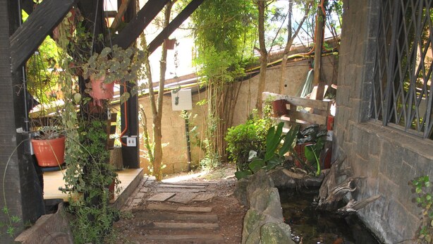 Una escalera de piedra que conduce a una terraza de madera con un pequeño estanque, rodeada de follaje y plantas en macetas.
