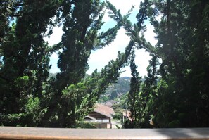 Pemandangan dari properti