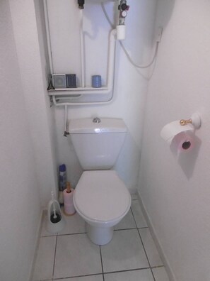 Un bagno piccolo e bianco con il water, uno scaffale con una scatola di fazzoletti e un porta carta igienica.