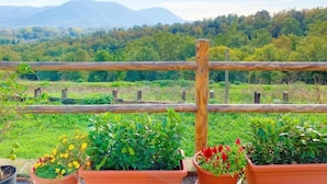 Un balcon orné de pots en terre cuite remplis de fleurs, une clôture en bois et une vue sur un paysage boisé, avec des montagnes à l’horizon.