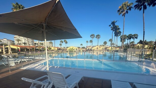 A swimming pool with white lounge chairs and umbrellas, surrounded by palm trees and buildings.