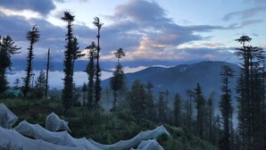 A forested mountain landscape with tents in the foreground. - Ahistay Homes, Fagu (Fagu)